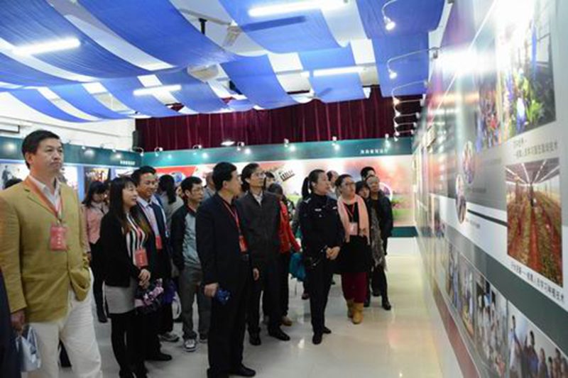 永利集团88304官网