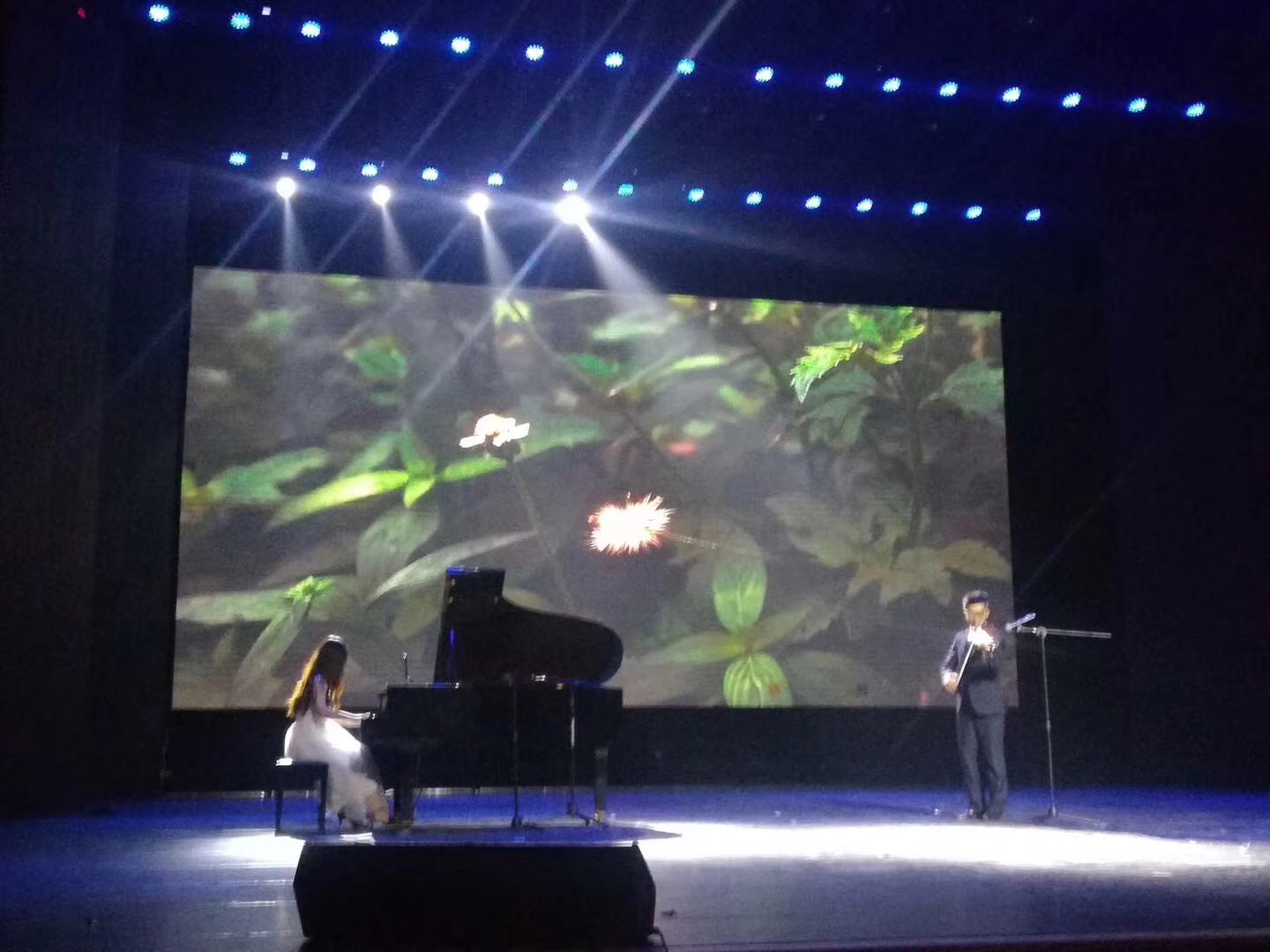 永利集团88304官网